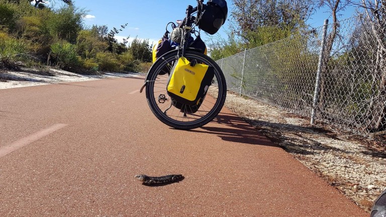 1E2084EB-971F-4297-8C6A-703DDCF81010