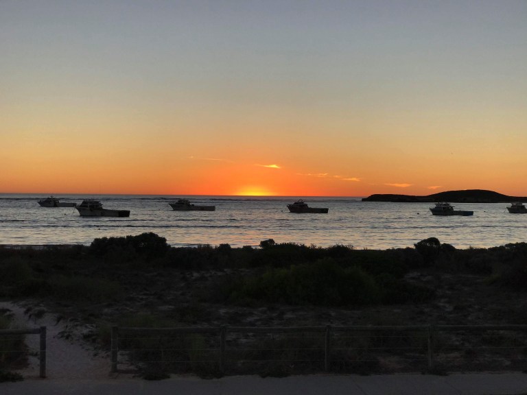 B9F17282-0FAF-43F1-BC81-4F88FD1E2954