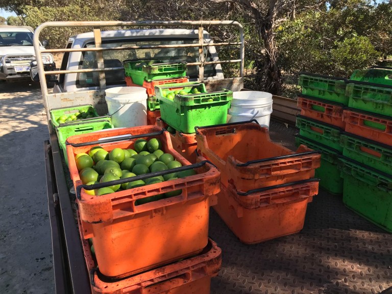 ED2D0952-26D0-47E5-80B0-F8A40F22D384