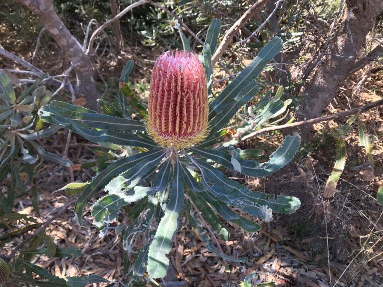 FF1D327D-A00A-428E-8A0B-0E0F7EE8DC91