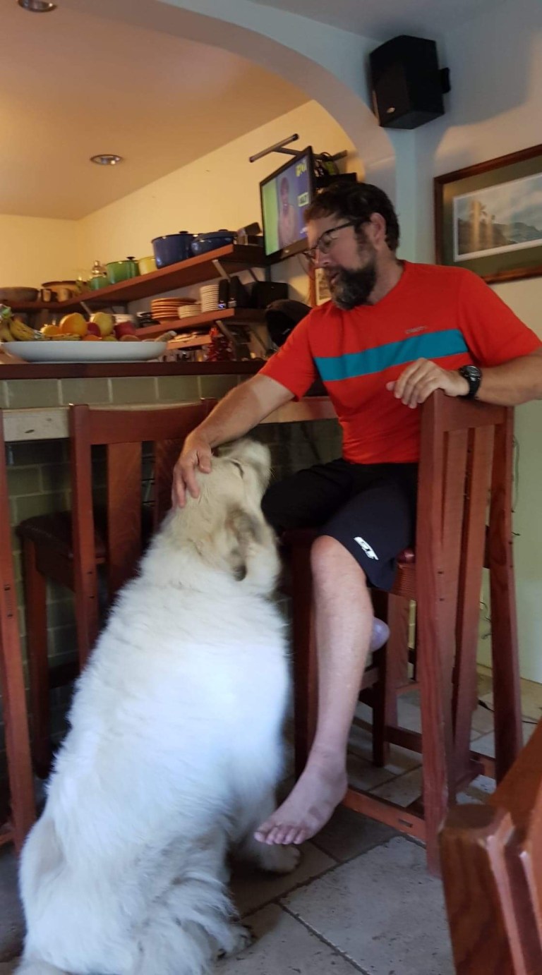 05E3319E-D9C9-4E9E-9C5A-FE9C00021A71