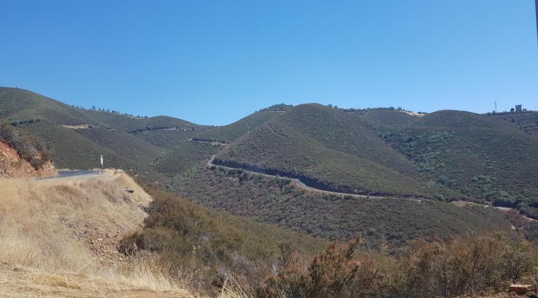 1130AC6A-6525-441B-9370-64134D4C8240