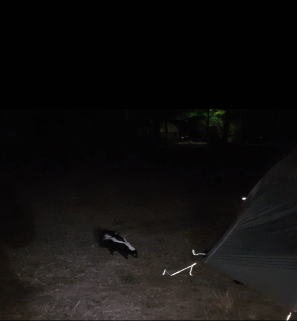 123DAF87-02DB-40E5-8D5E-DE7F5B5343C9