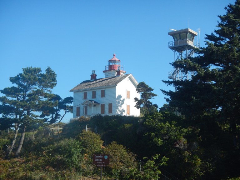 12D23F1E-E9FD-4E01-B4DF-40AC34478544