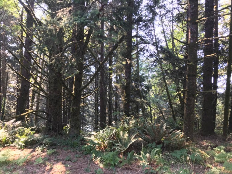 3AE1C1EE-7D0F-40DC-8018-431C120AA7F9