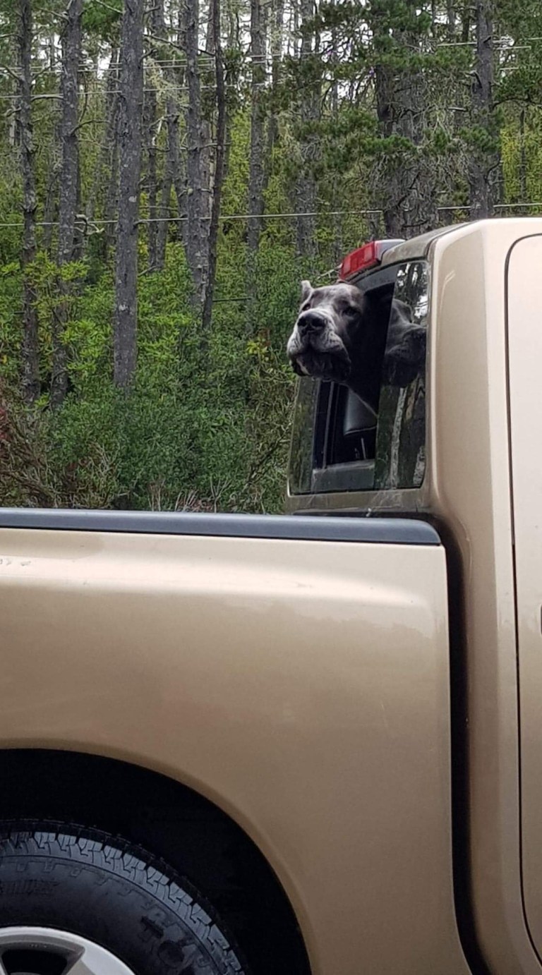 55A38BC1-B702-4970-AB49-739F49C84E0F