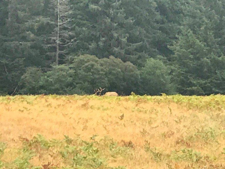 6D67DE43-44D7-4639-A1E8-F59846AD05E2