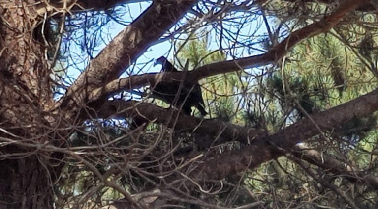 7BC0683E-3FEB-45B8-A76B-A77C383D6524