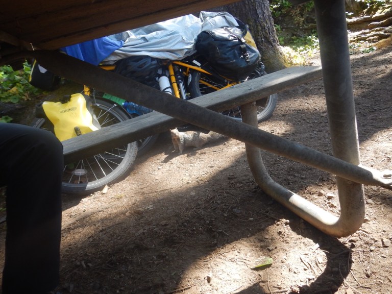 7D970FDD-3C6B-4D68-83C8-3ADB9123E5E3