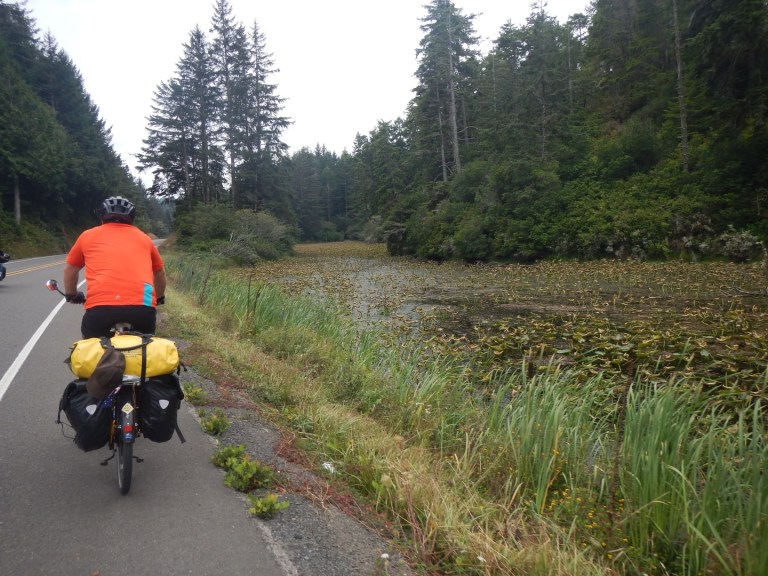 8273733C-3255-4A0C-81D1-FF0D282C722D