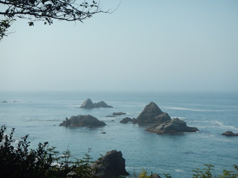 919CF595-BD87-4076-93C3-CBE7E1C34DB1