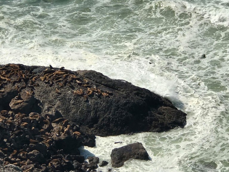 C478EE4A-FEB2-4AC1-90E5-9662F585D028