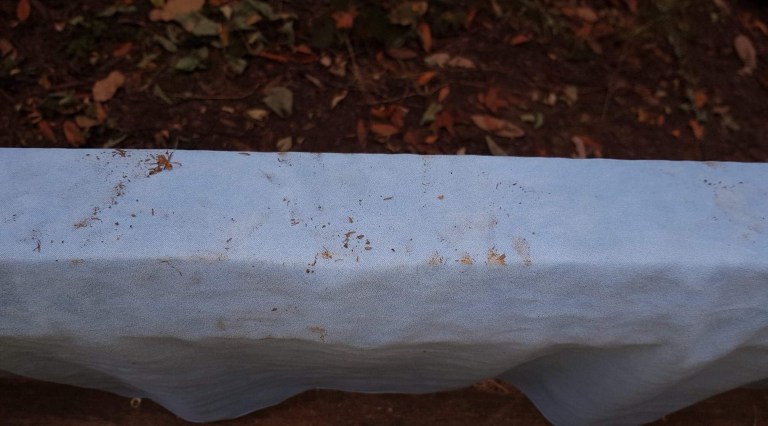 D65BA30B-1741-4D2F-98D3-A7F2031A92DE