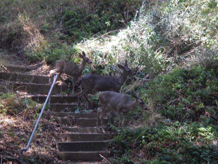 E897C7DE-D5D3-4804-8850-5CCB8BCB7E43