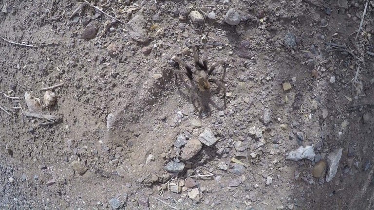 076CBB9A-B720-4697-88C5-68660A4DDEDD