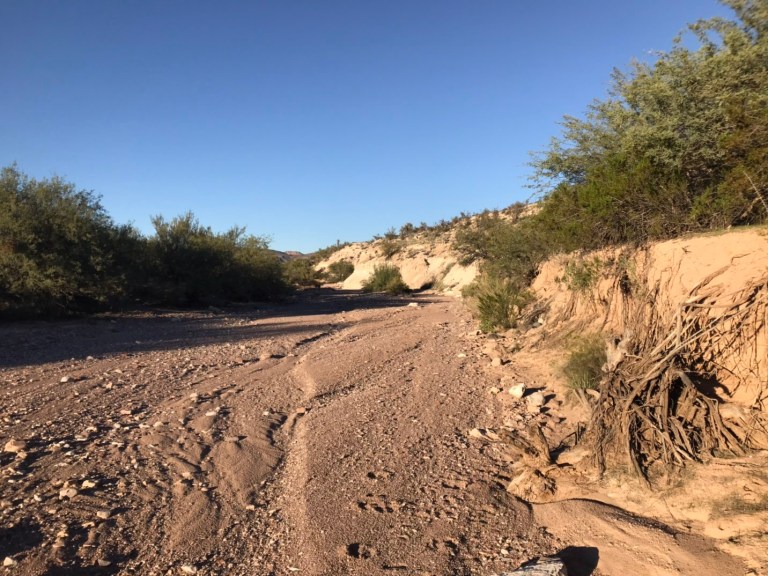 1B87BE3B-1CE8-46D1-9742-776820D6F9C5