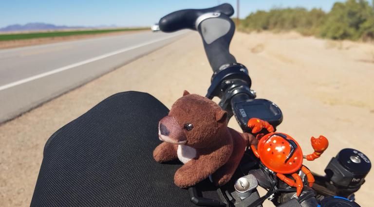 33A87172-DF4E-49F2-8FB1-FC1B0F0FE1FC