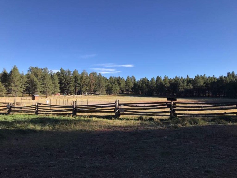 47768F7D-B17D-45BF-BE4E-11EDB81818A7