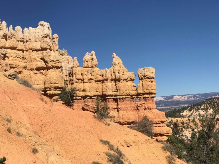 7FE18AF1-4F71-4631-85B6-FBA009982985