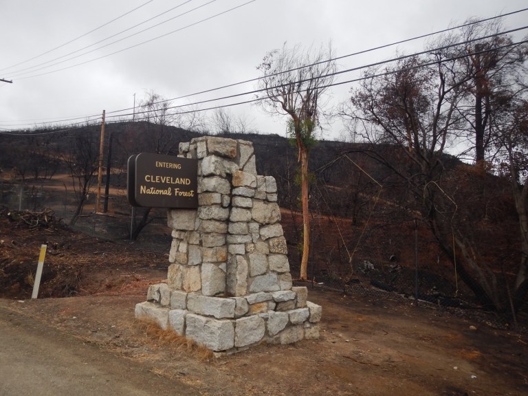 A2E7CC21-F3AB-4F12-8765-B95EF5B565CE