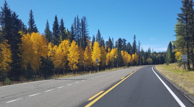 BB0FE0D1-7F5B-4312-B067-F3AA304C6576