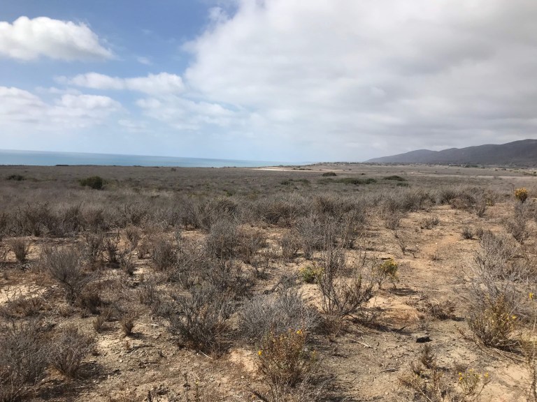 BB7132F1-6692-427F-AD27-DFC64B5600AB