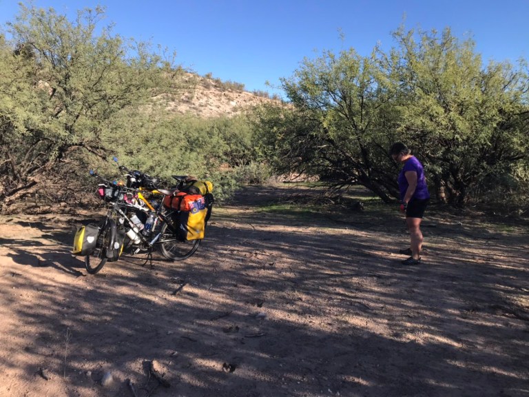 C1585CD5-6483-47EB-BB30-81B46856445F