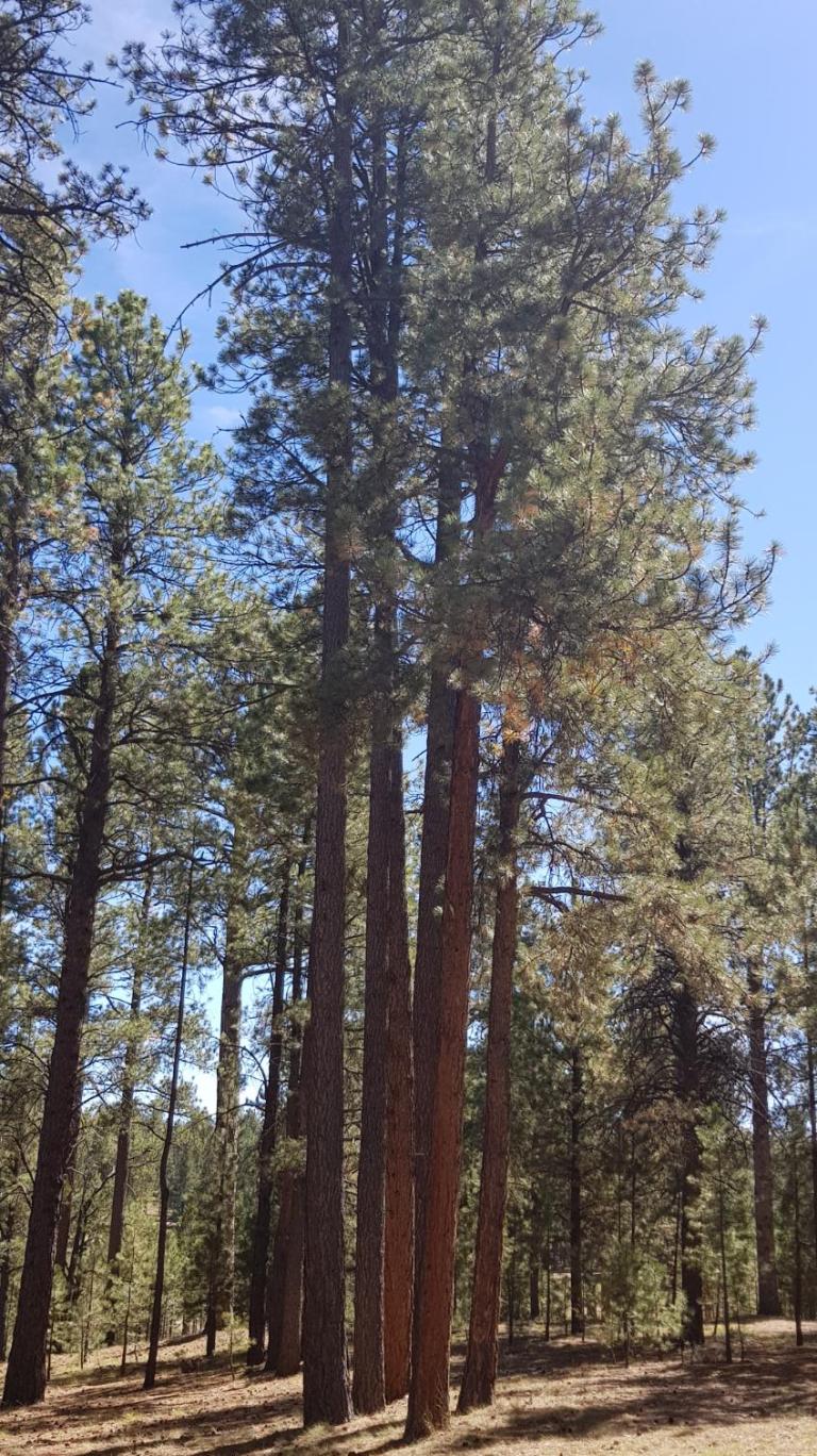 E1A3FA7C-B673-4843-9A70-A8C95513B4DD