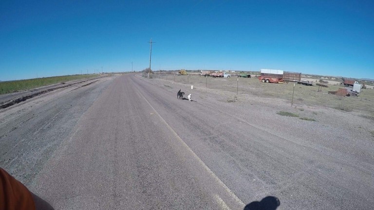 18A0526F-F24A-4E5F-989A-1C80C829E686