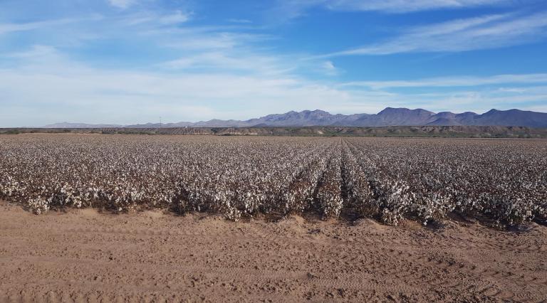 1BE515D9-6603-4EA8-9B95-2DF42CD2189D