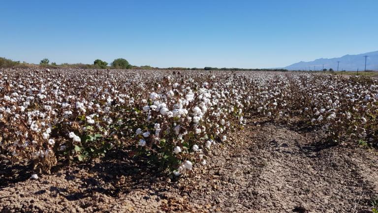 4544D349-7D69-4AE7-A62D-71C1079D19CB