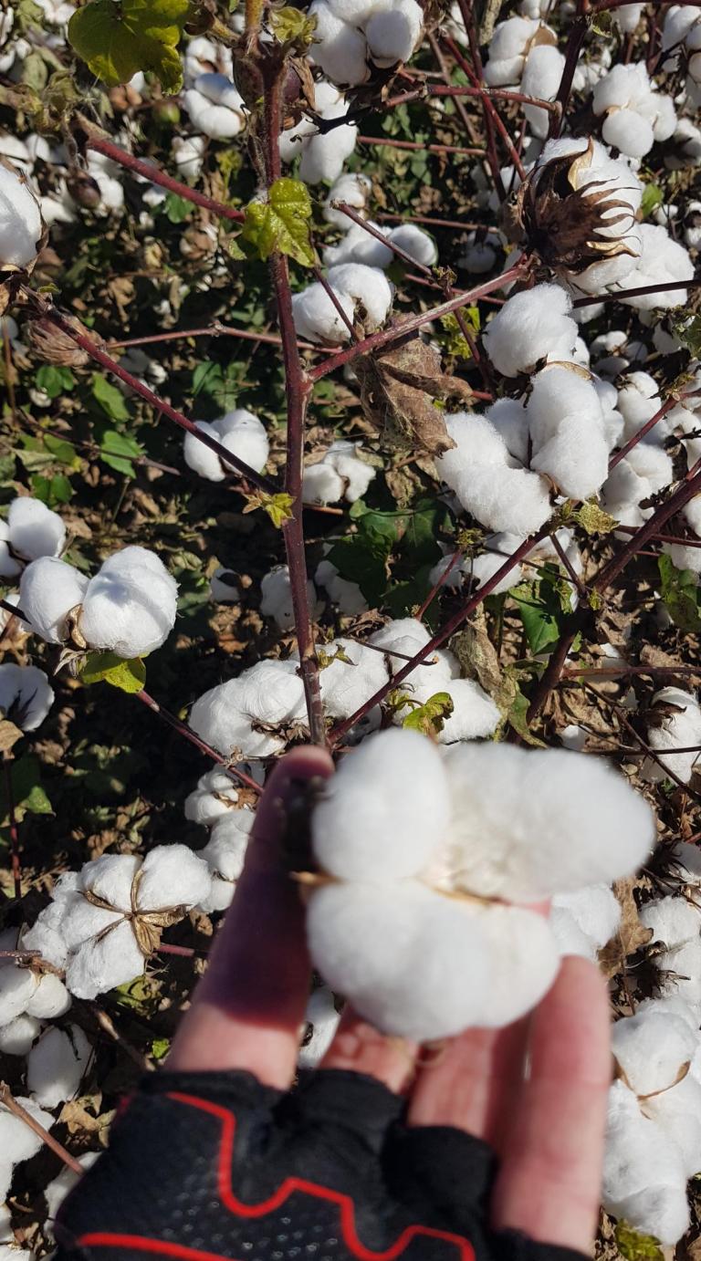 4BBB94EA-BE33-4024-97EB-836538398E33