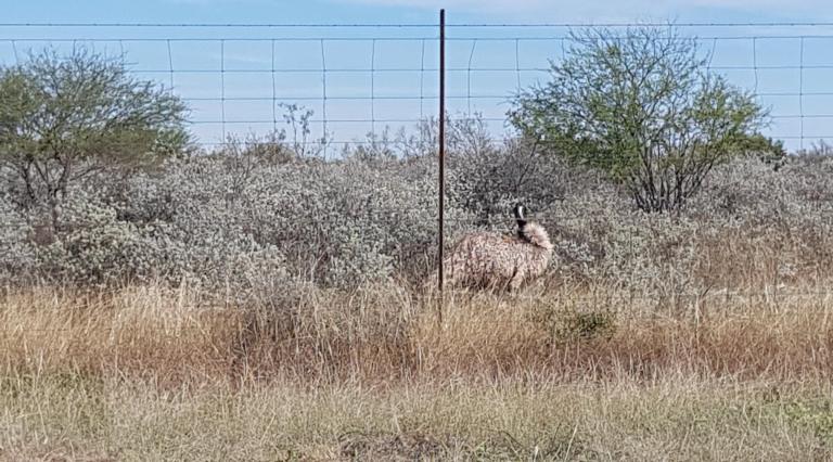 4FCCD630-2DD2-4041-AD3C-1CAC2A2CCE7E