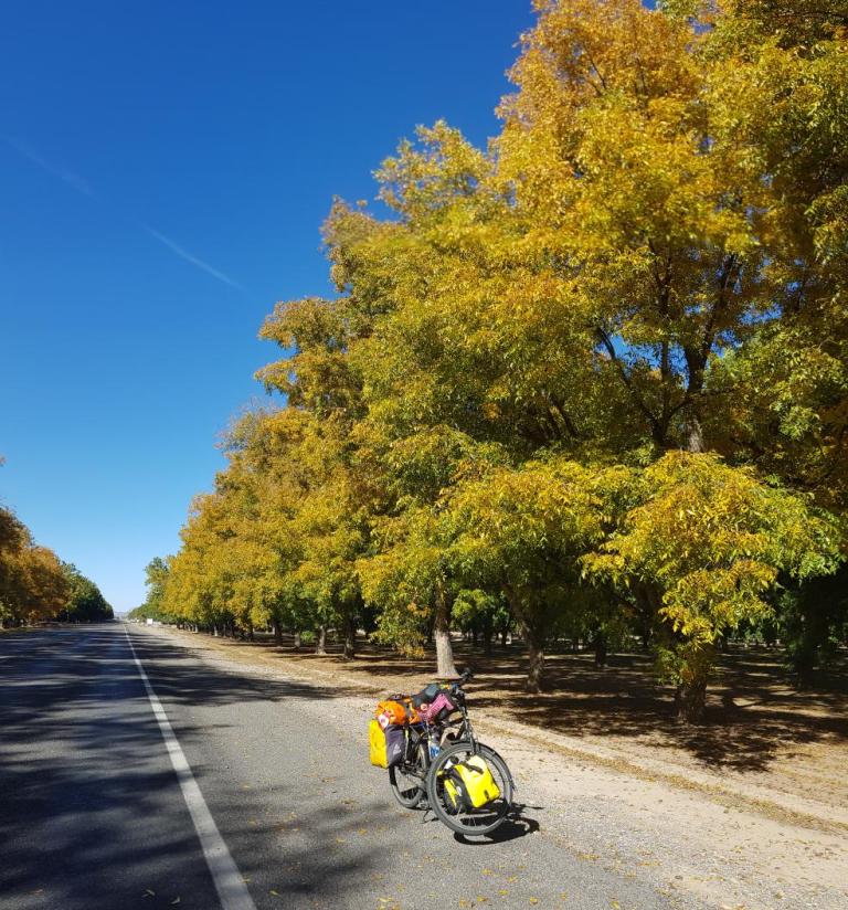 60726E6F-4444-4EC3-B6BA-0415F5971716