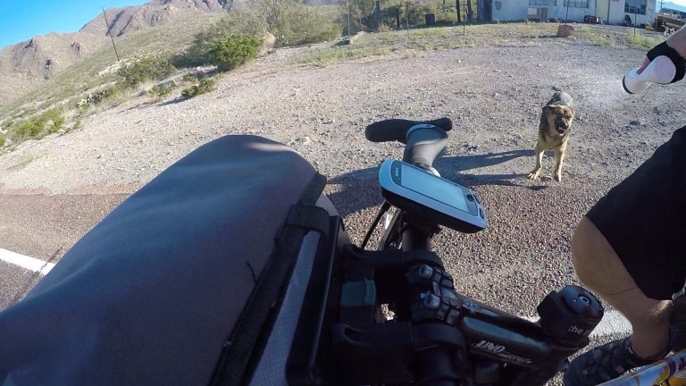 82F83FF5-94AA-4A0D-8735-9757FBEAB7D6