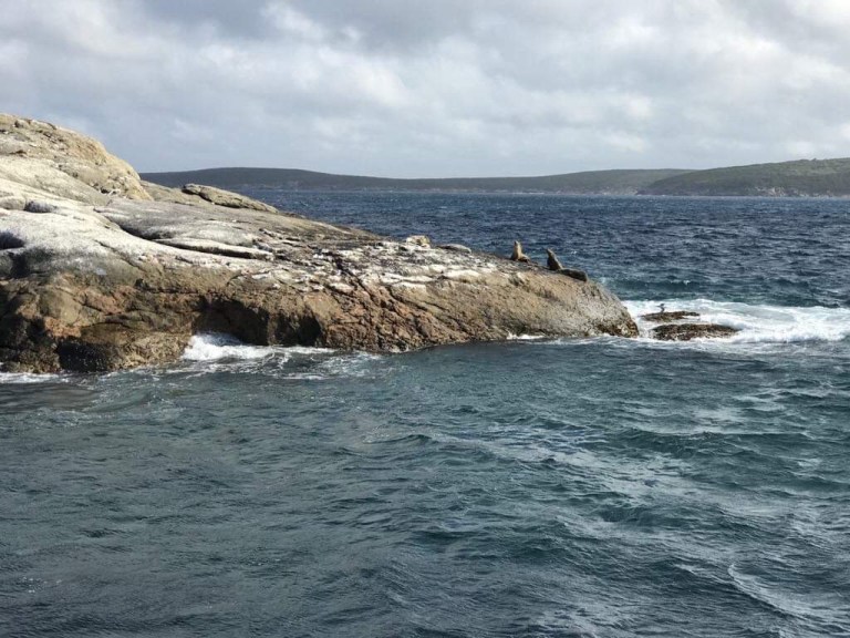 0751d131-c4fc-40fe-a233-66f9ed63a590