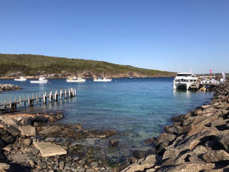 0ebd650a-ad50-4658-98af-7f498d020050