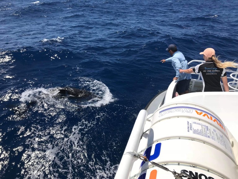 10c5ed52-054c-4d3c-9f8e-0c894993c289