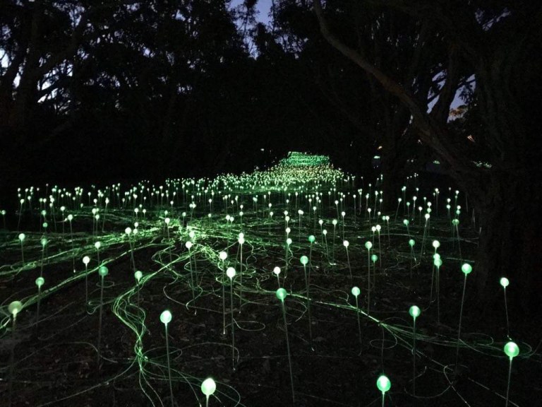 d01446a8-8456-46b8-8dc6-97cd6640b063