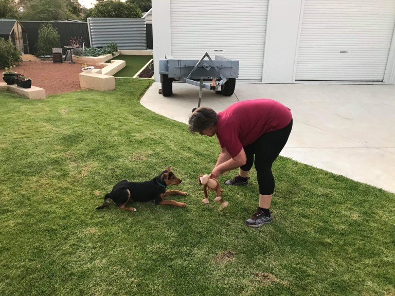 9F0F1437-A64F-4A03-A05B-844F478335FB