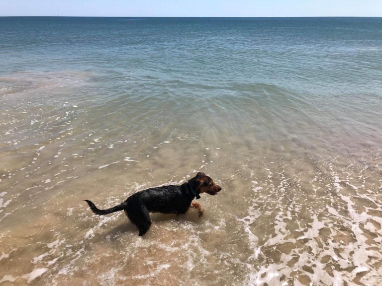 E6269BA8-175B-4BC4-B78F-0635FFB104A8