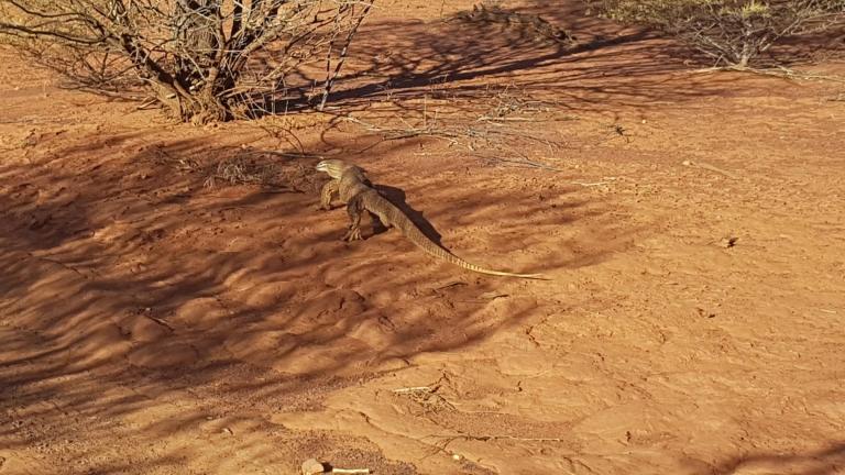 72F0F115-6E0D-4FC9-A0FA-E00DC209C8CA