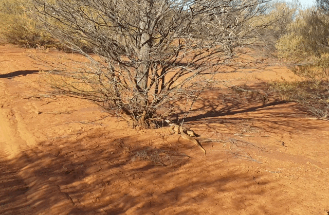 Screenshot_20190520-214524_Video Player