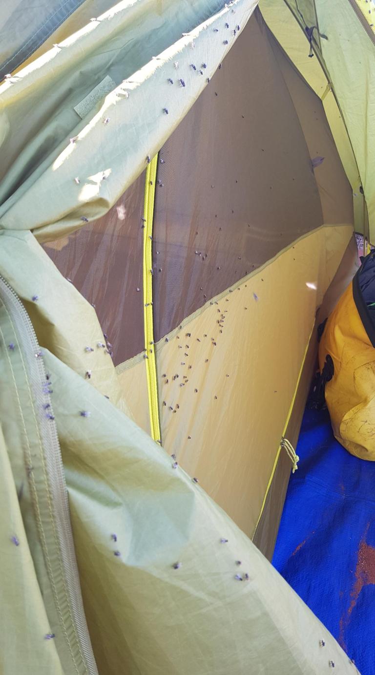 1B751B5A-7DC8-4DC8-8EE4-4B833B240579