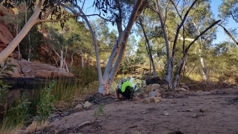 1B98DFAE-FAD3-4EA0-AA9A-F6B40329A58E