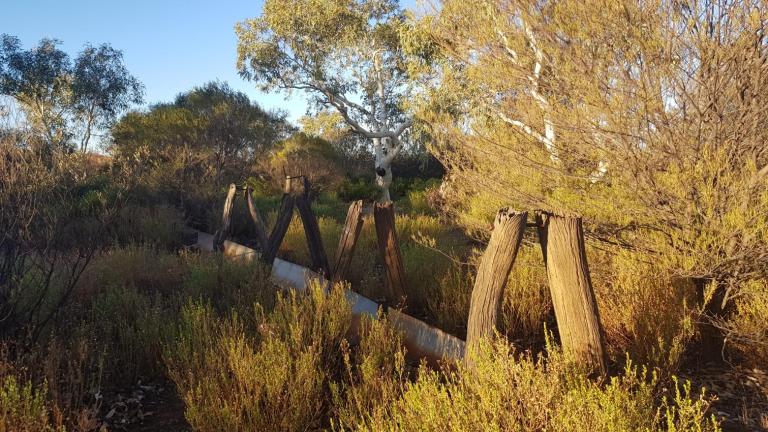 2A7033D3-C7B2-44EA-B2A8-D28E0658C6F5