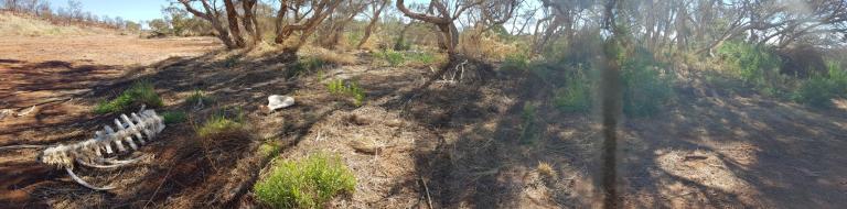 B936554B-923D-42AF-BAEF-ED42ACAA70A7