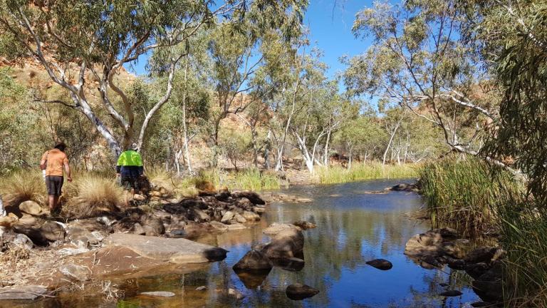 C728EEB9-57B0-4515-BB08-D6B740D58861