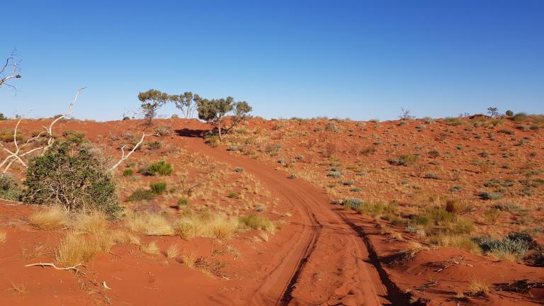 D31A9FCB-0F2A-4123-BC73-BF4C08F49C45