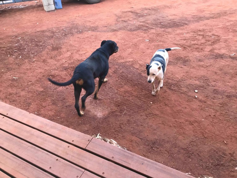 DED9F9E6-2CA8-41BC-8DC2-774FD37A653E